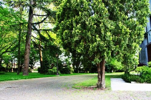 Park Hotel Villa Giustinian