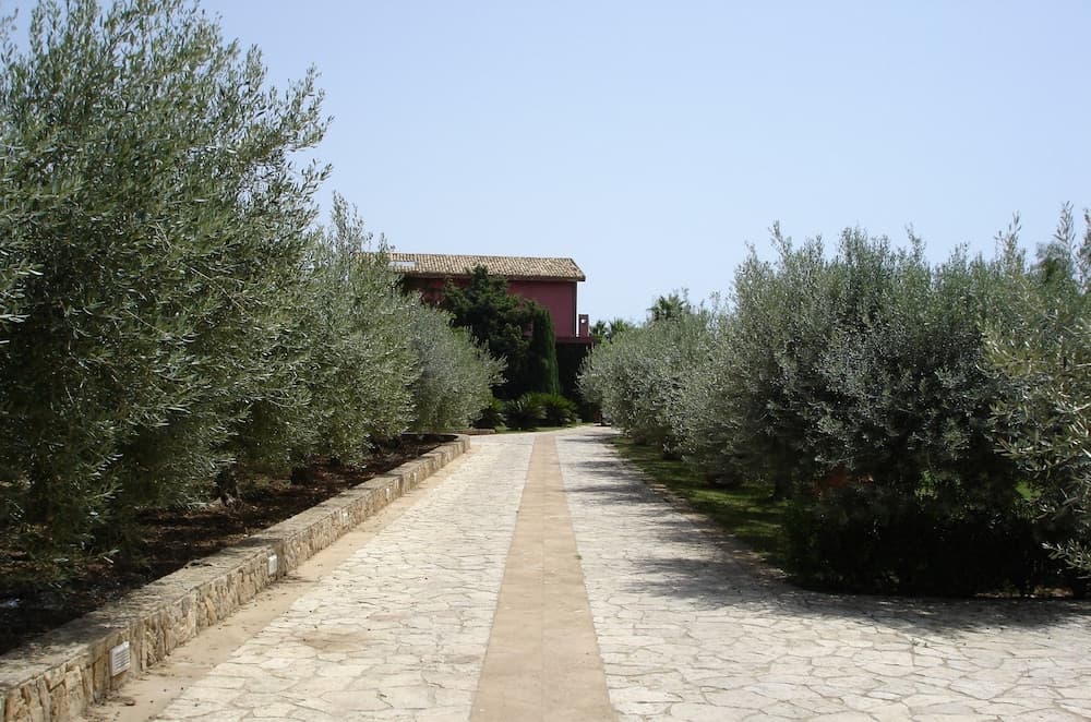 CasaRealia