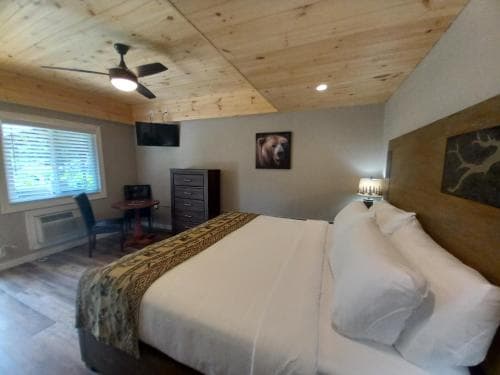 Carter Lodge