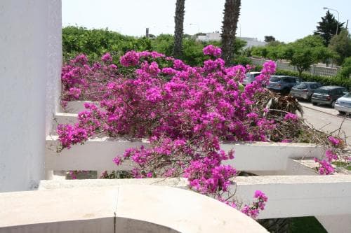 Barbara Residence Club