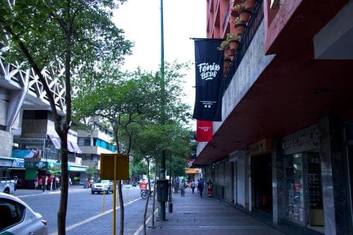 Fenix Beds Hostel