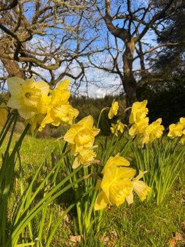 The Steading At Barmore