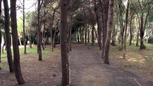 B&B Pineta Mare