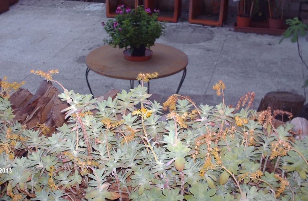 Albergo Triana e Tyche