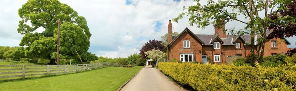 Brush and Boot B&B