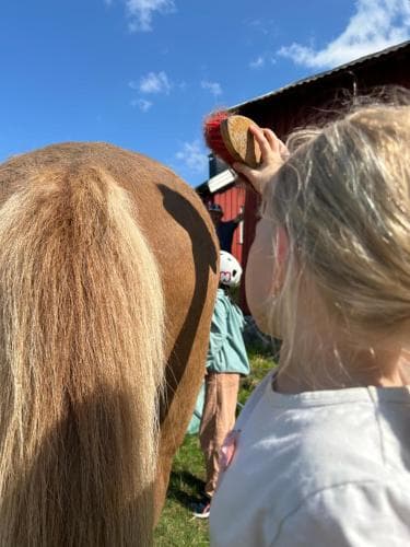 A serene rural scene captures a young traveler brushing a horse's coat under a bright blue sky, with a red barn in the background, ideal for family-friendly farm visits and equestrian activities.