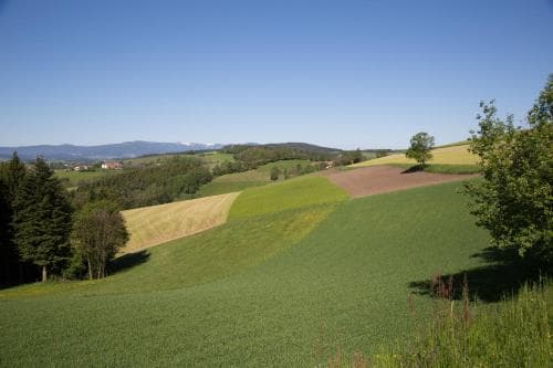 Krumbacherhof