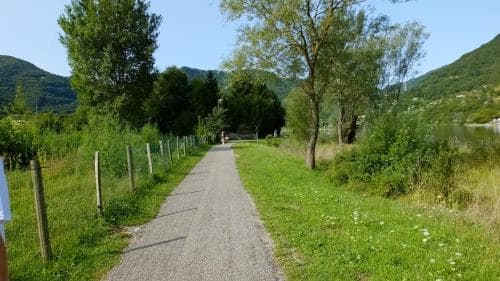 B&B Tulipano