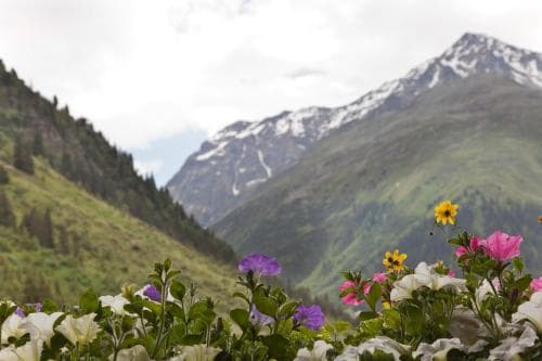 Hotel Rifflsee
