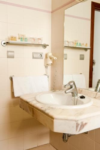 El Palmeral Hotel