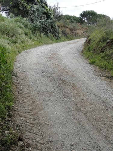 Pinhal da Coutada