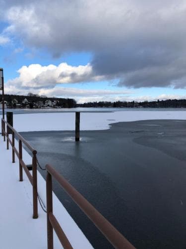 Seegarten