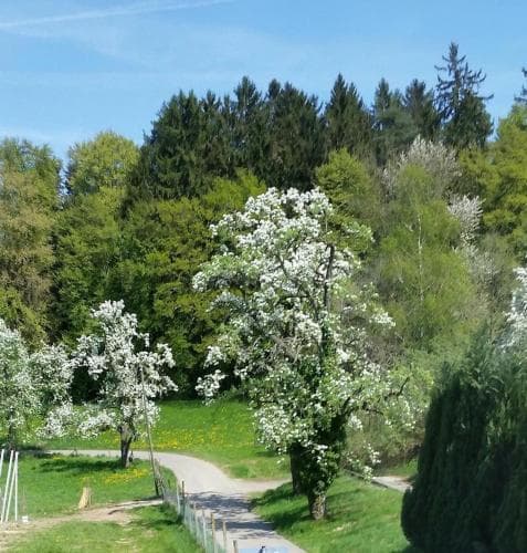 Ferienwohnungen Beck