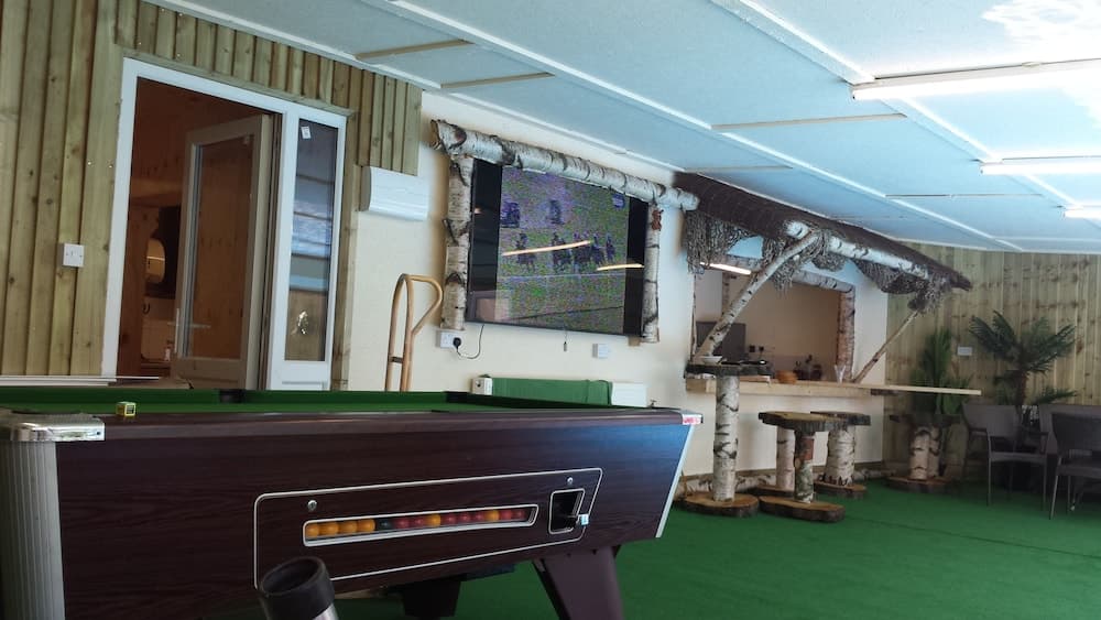 A cozy indoor recreational area features a pool table, rustic birch tree decor, and a flat-screen TV, creating a relaxed atmosphere ideal for leisure activities and social gatherings.