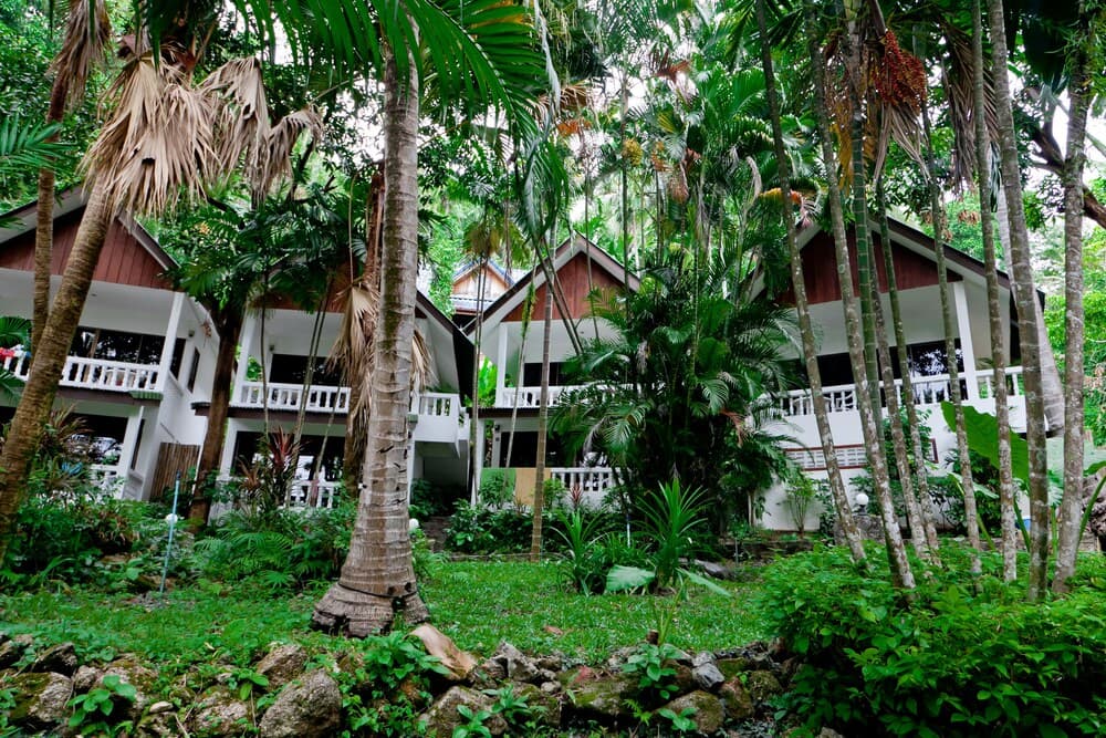 A serene tropical resort nestled among lush palm trees and greenery offers a tranquil escape for travelers seeking relaxation in nature.