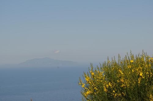 Alle Ginestre B&B