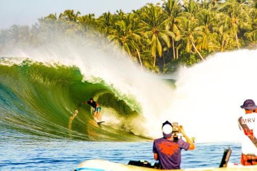 A surfer rides a powerful wave under a lush palm tree backdrop, capturing the thrill of tropical beach adventure with vibrant energy, ideal for surfing enthusiasts seeking adrenaline-pumping experiences.