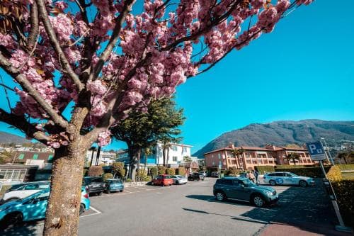Hotel Mulino