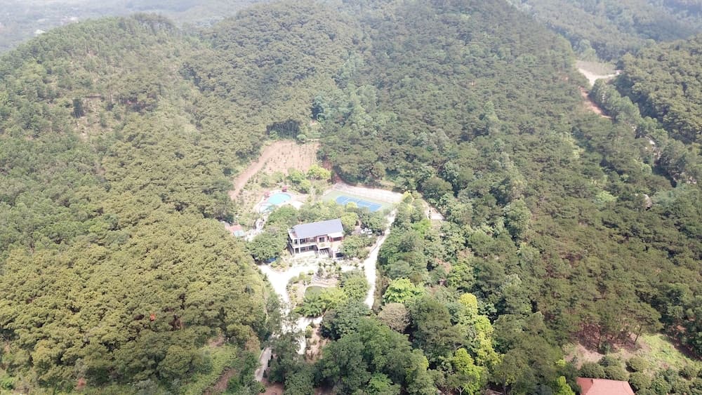 Green Pines Resort
