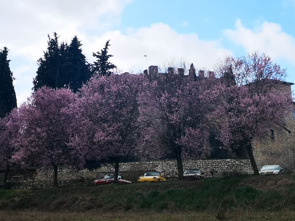 A serene medieval castle backdrop adorned with blooming pink cherry trees and vintage cars parked along a stone wall, ideal for a romantic getaway or history-themed photography session.
