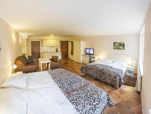 Apartamenty Rok