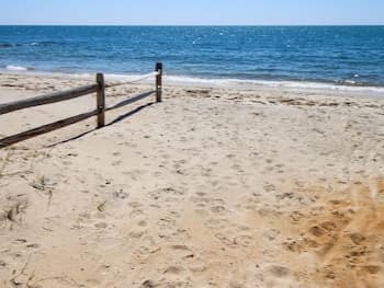 The Beachcomber