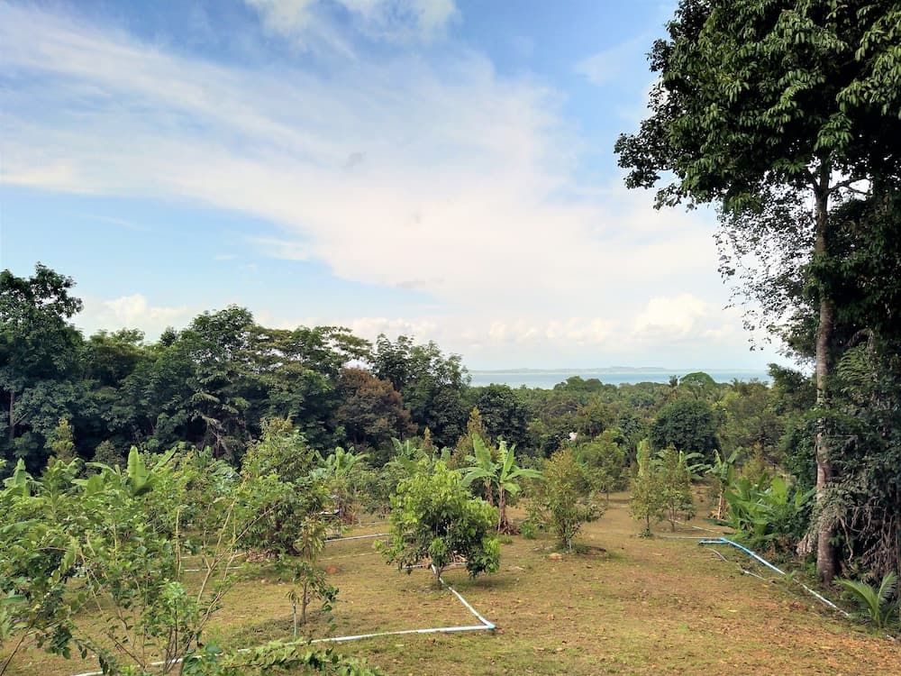 Somphoch Garden