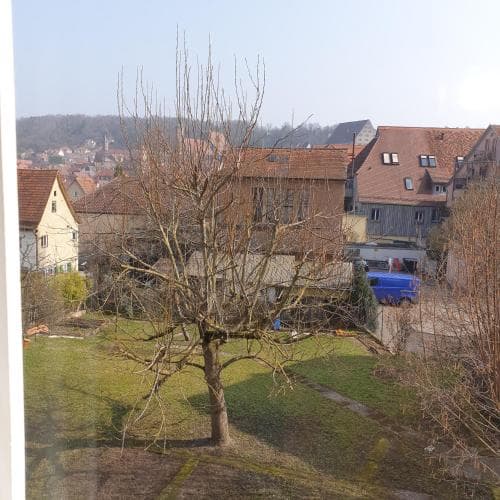Blauer Bock