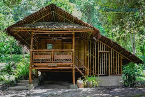 Forest Camp Resort