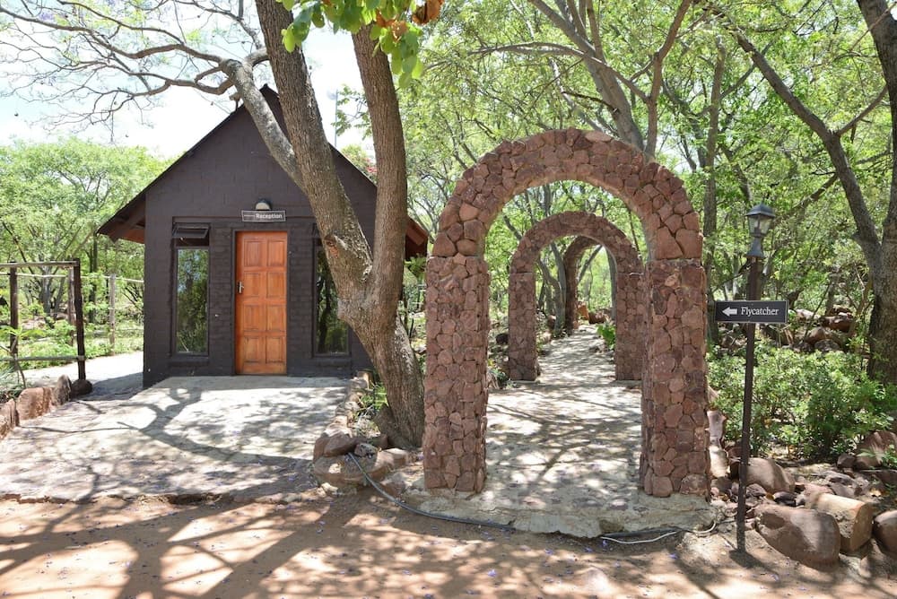 A serene forest setting features stone archways leading to a rustic reception cabin, ideal for eco-tourism and nature retreats.