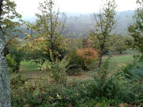 Cascina Baresane