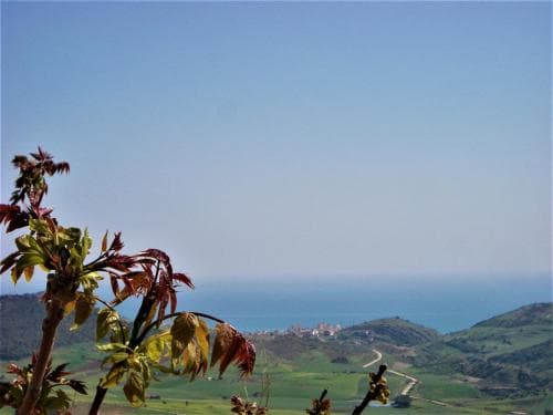 B&B Vistamare