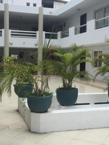 A serene courtyard with lush potted plants and white tiled floors offers a tranquil retreat within a modern multi-story building, ideal for travelers seeking a peaceful accommodation setting.