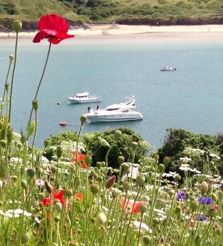 Cyntwell B&B