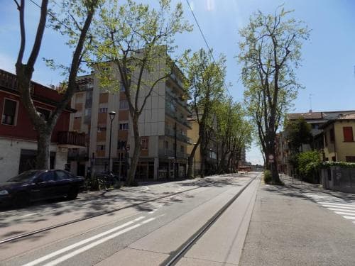 A serene urban street lined with tall trees and modern buildings under a clear blue sky, featuring tram tracks and parked cars, ideal for city exploration and leisurely walks.