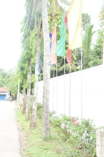 Green Villa