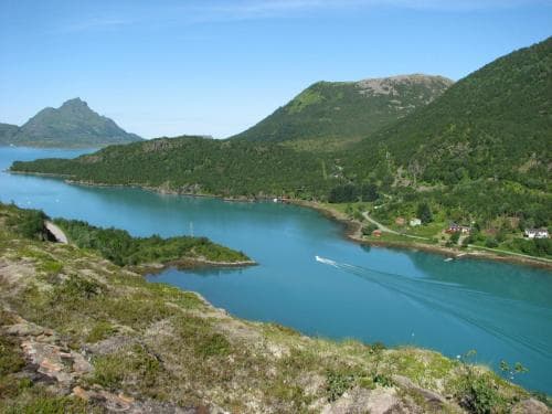 Skjellbogen Hyttegrend
