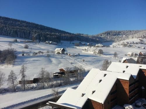 Schwarzwaldgrund