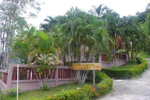 A serene tropical resort entrance framed by lush palm trees and vibrant flowers invites travelers seeking relaxation and natural beauty.