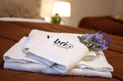 B&B Brio