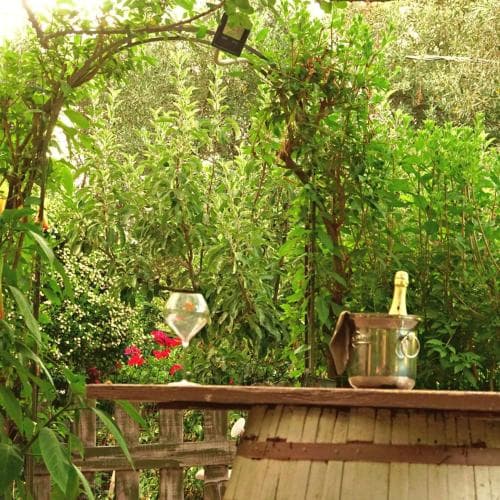 A serene garden patio features a rustic wooden table set with a champagne bottle in an ice bucket and a glass, surrounded by lush greenery and vibrant flowers, perfect for a tranquil outdoor retreat or romantic getaway.