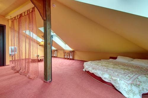 Aerohotel