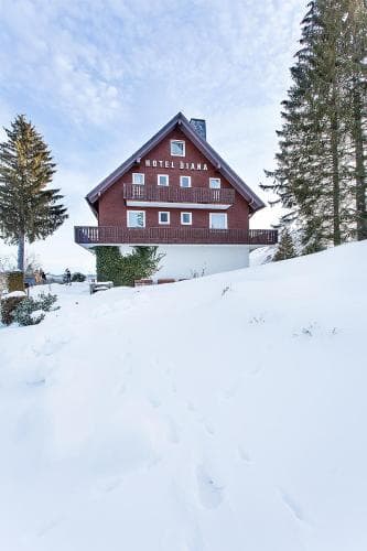 Hotel Diana