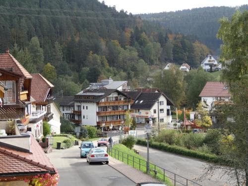 Schwarzwaldhaus am Kurpark