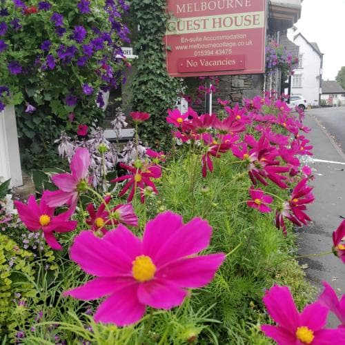 Melbourne Cottage Guest House