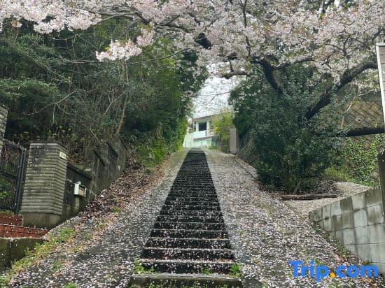 日本の松を贅沢に使った特別感のある別荘 Lemon villa
