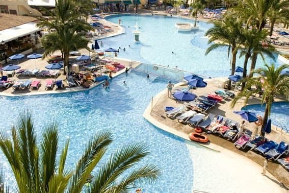 Globales Bouganvilla