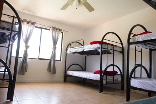 Wipeout Hostel