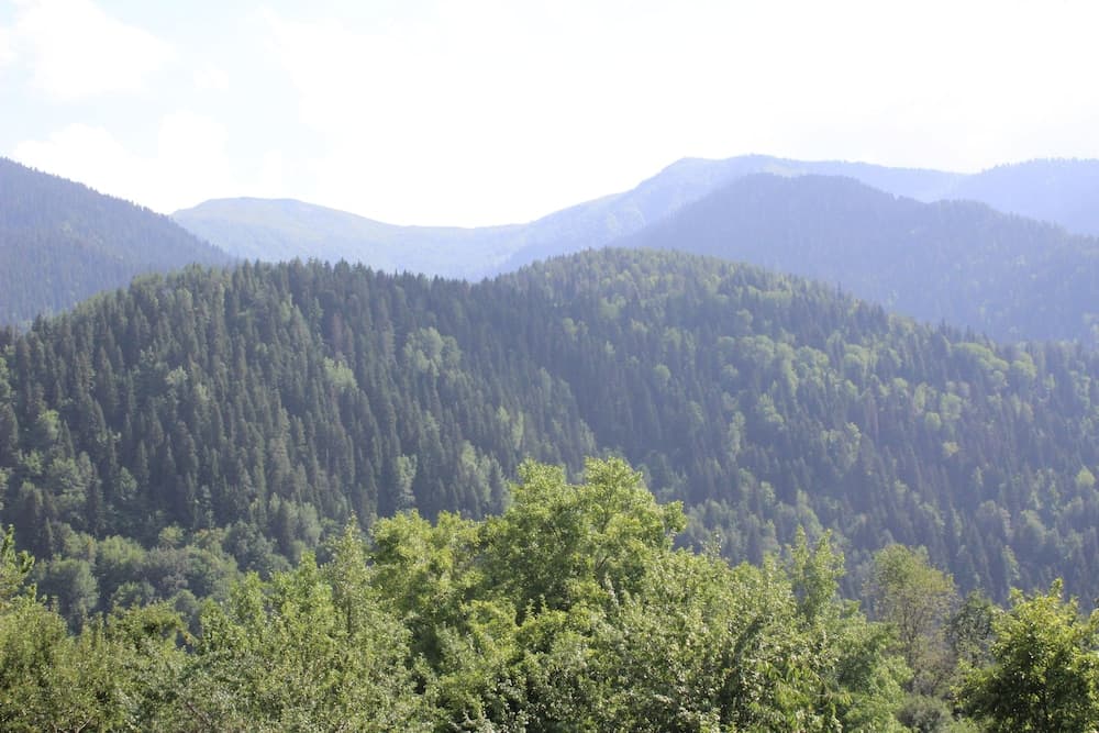 Ecohouse Svaneti