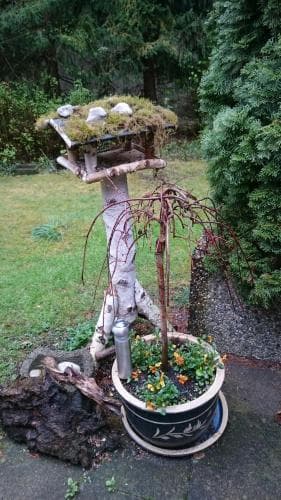 Hotel am Wald